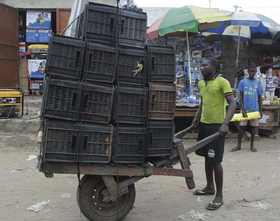 Wheelbarrow Liveson in Angola-Africa